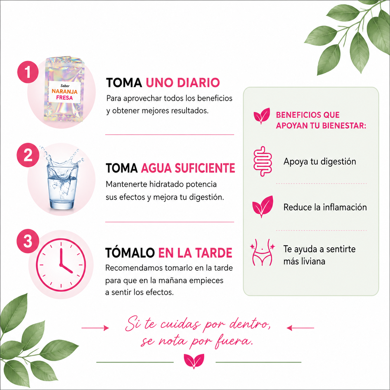 Kit Balance Digestivo – Sistema de 3 Días